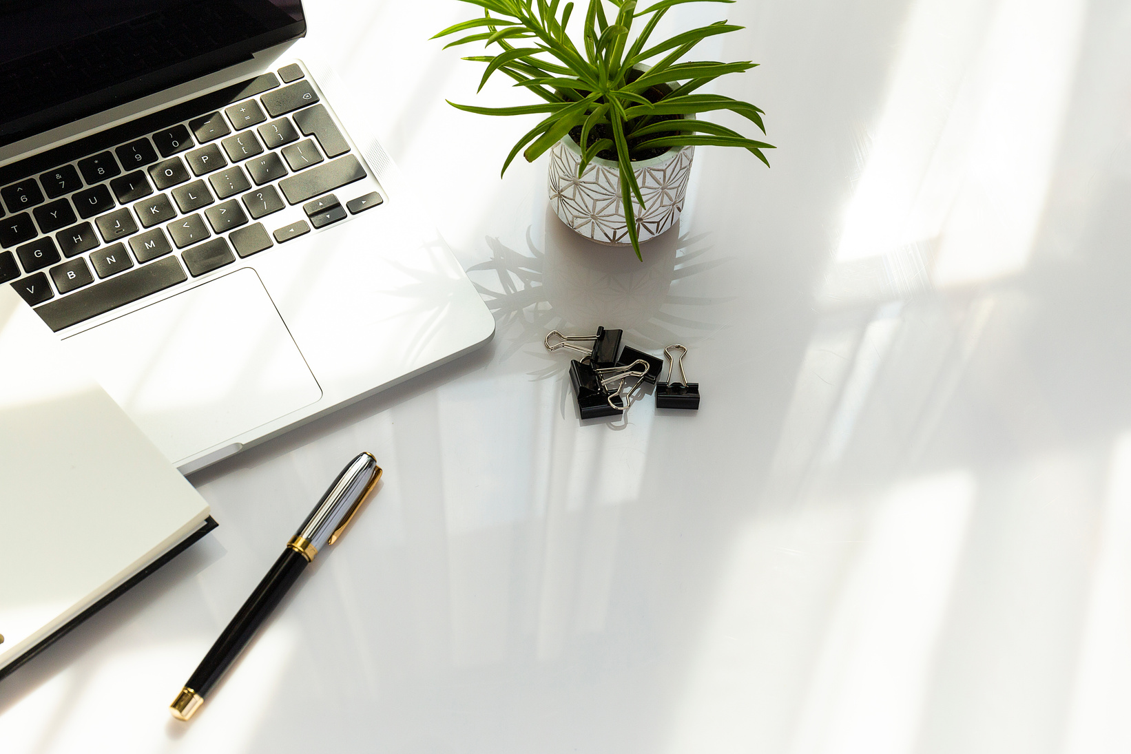 Office desk with plant